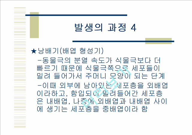 닭의발생.ppt