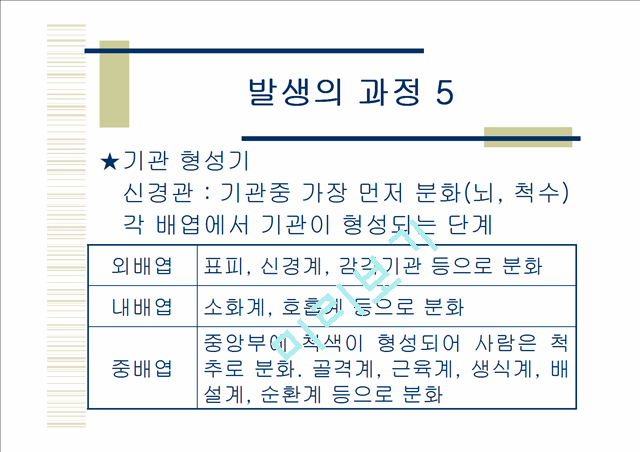 닭의발생.ppt