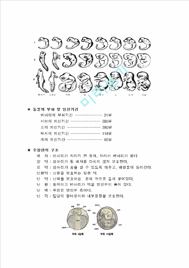 닭최종.hwp