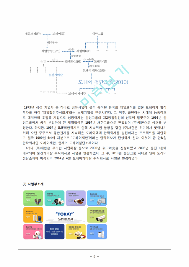 도레이첨단소재 기업 경영분석과 전략분석및 도레이첨단소재 SWOT분석과 경영전략평가와 의견제안 레포트.hwp