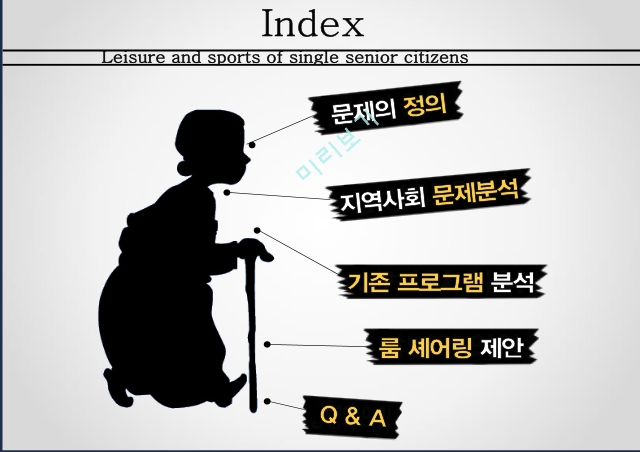 독거노인사회문제,독거노인 지역사회문제,독거노인의 욕구,독거노인의 노후 지원,독거노인 정서,독거노인 고독감,룸 셰어링 한계.pptx