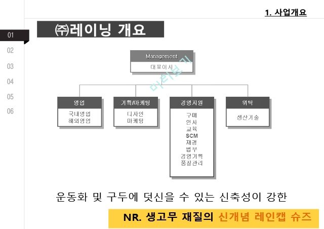 레이닝,사업개요,아이템소개,개발활경분석,STP전략,차별화된핵심역량,마케팅전략,사업비젼.pptx