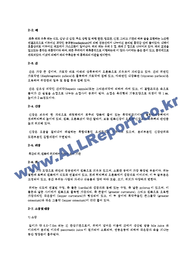 마우스의 해부 및 기관 관찰 결과 Report.hwp