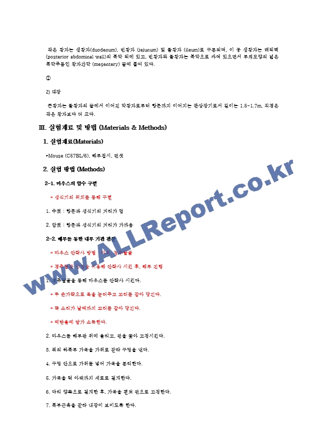 마우스의 해부 및 기관 관찰 결과 Report.hwp