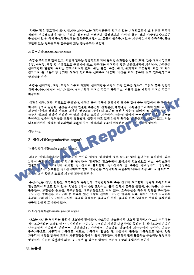 마우스의 해부 및 기관 관찰 결과 Report.hwp