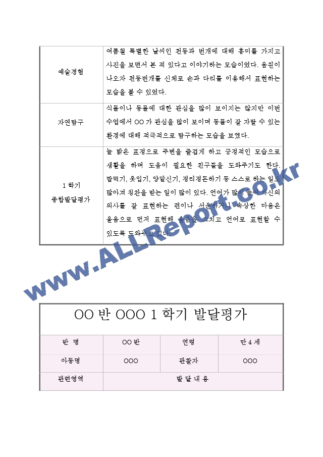 만4세1년평가.hwp