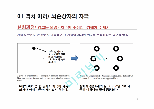 무의식 존재에 대한 신경과학적 연구 결과.pptx