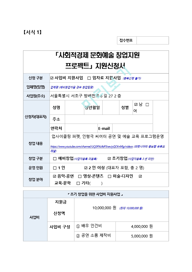 문화예술 청년창업 계획서 국가사업 공모당선계획서.hwp