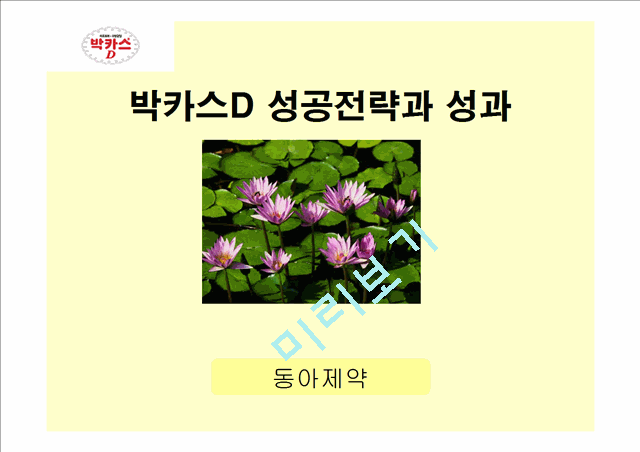 박카스D 성공전략과 성과.ppt