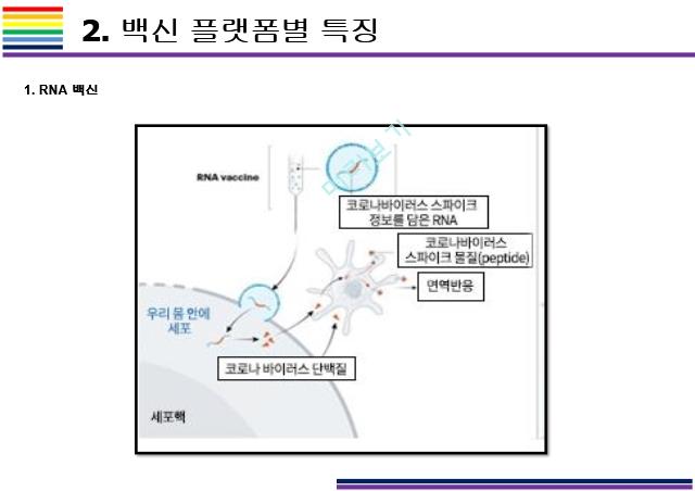 백신의 종류 특징.pptx