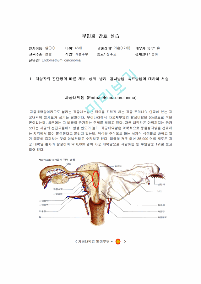 부인과 간호 실습.hwp