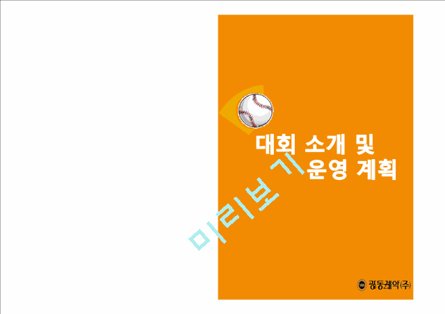 비타 Dream배 어린이 연식 야구대회 제안서.pptx