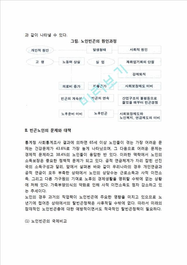 빈곤노인의 문제와 대책.hwp