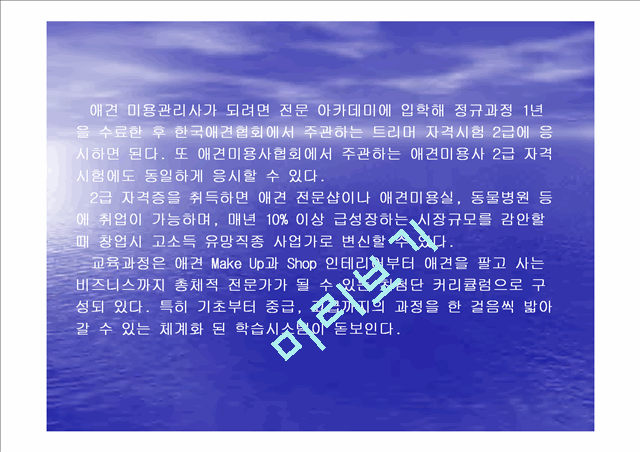 사업계획서-애견미용사.ppt