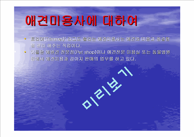 사업계획서-애견미용사.ppt