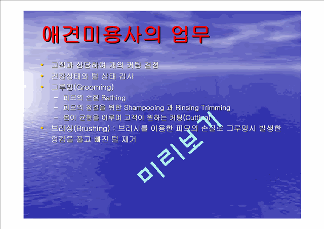 사업계획서-애견미용사.ppt