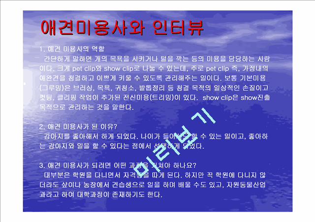 사업계획서-애견미용사.ppt