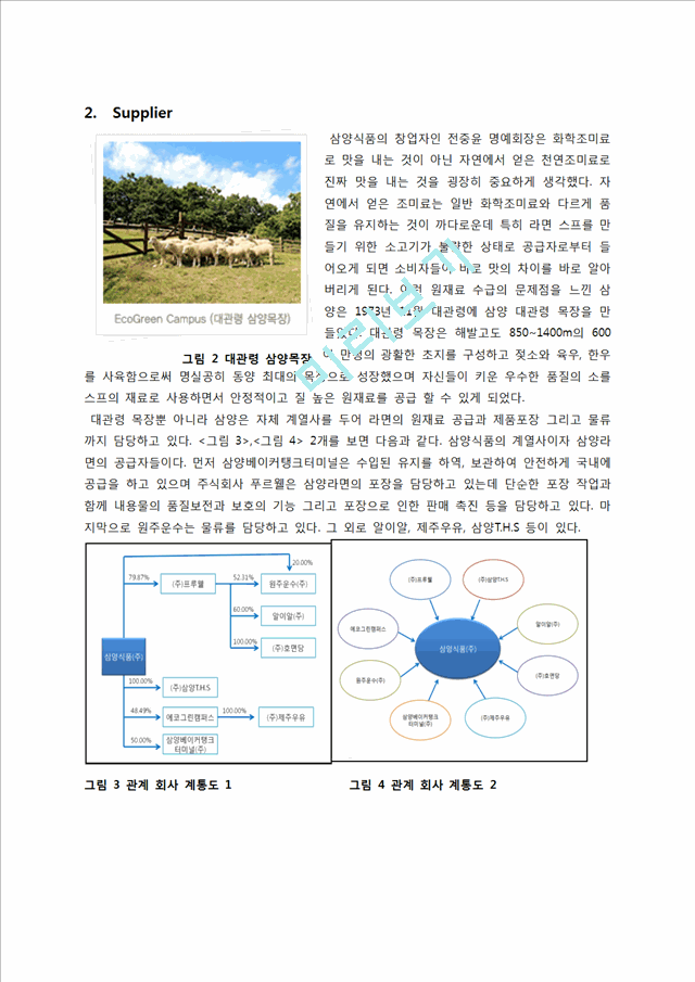 삼양라면 마케팅전략분석과 삼양라면 SWOT,STP,4P전략분석및 삼양라면 새로운 마케팅전략제안과 나의의견.docx