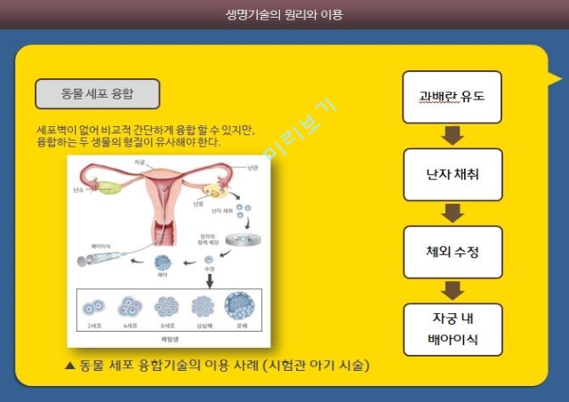 생명기술,세포융합,조직배양,핵치환.pptx