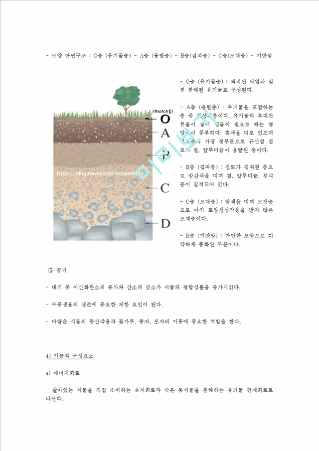 생태학 과제-육상, 담수, 습지, 해양 생태계의 특성과 생태계의 천이 연구.hwp