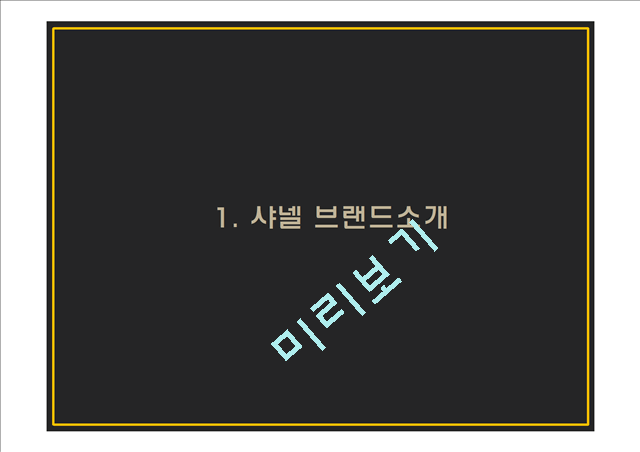 샤넬 PPT.pptx