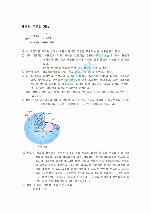 세포의 구조와 기능.hwp