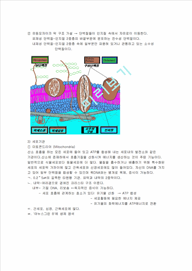 세포의 구조와 기능.hwp