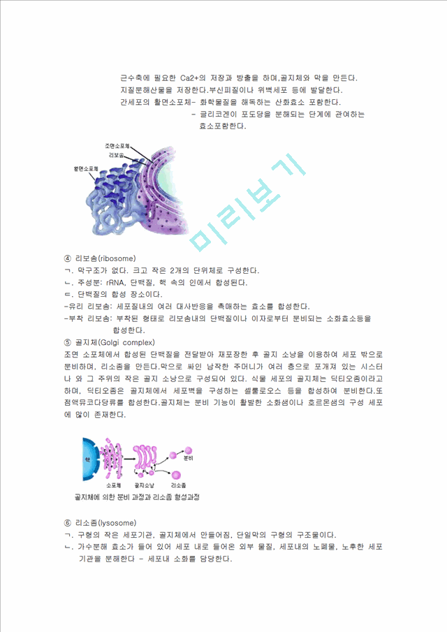 세포의 구조와 기능.hwp