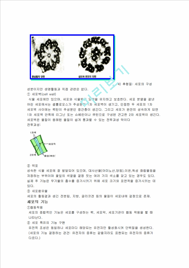 세포의 구조와 기능.hwp