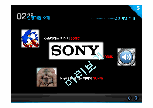 소니마케팅전략,소니국제마케팅,소니기업분석,Sony마케팅전략,Sony분석.pptx