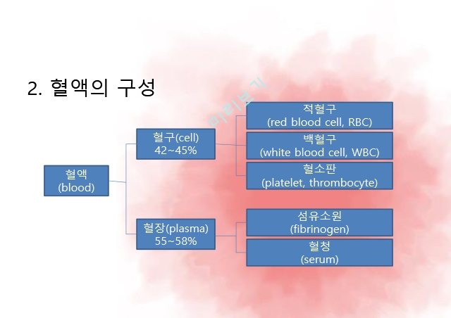 순환계통,혈액,혈액의기능,혈액세포,혈관,대동맥,태아순환.pptx