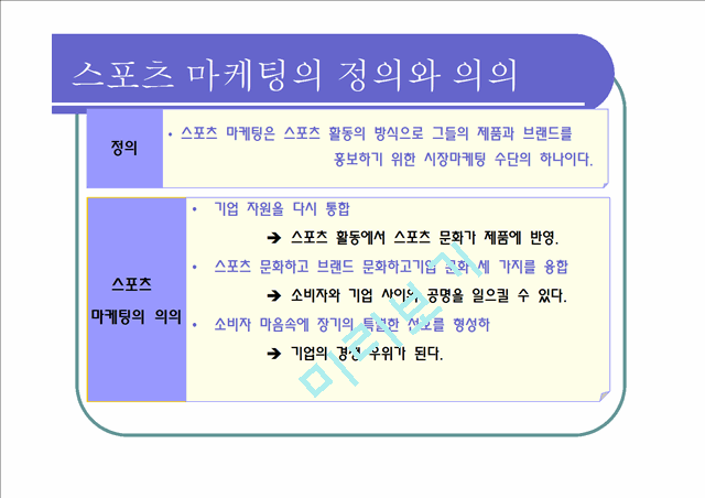 스포츠마케팅,스포츠마케팅전략,스포츠마케팅사례및분석.ppt