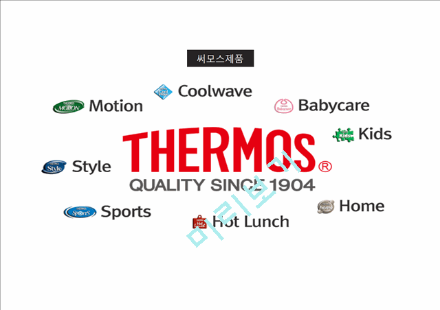 써모스의 기업소개와 시장상황,SWOT분석,STP전략,한계점 및 개선방안.pptx