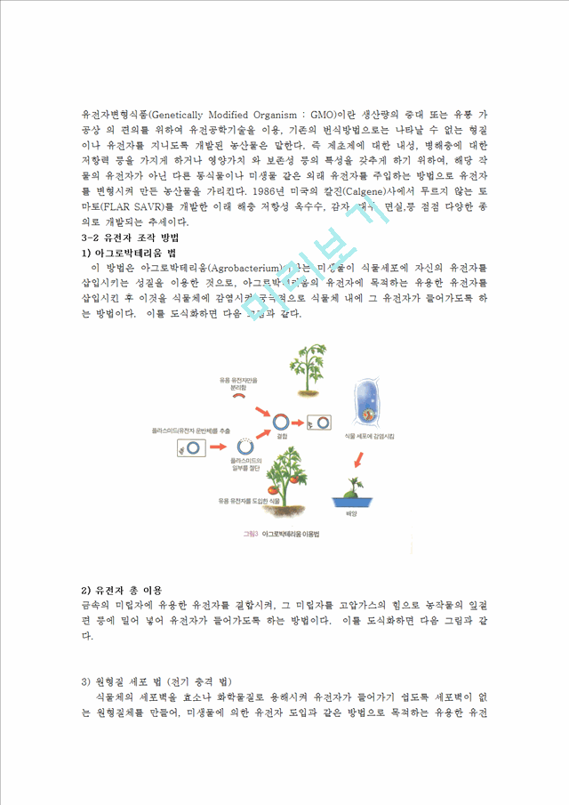 유전자 변형 농산물_3232374.hwp