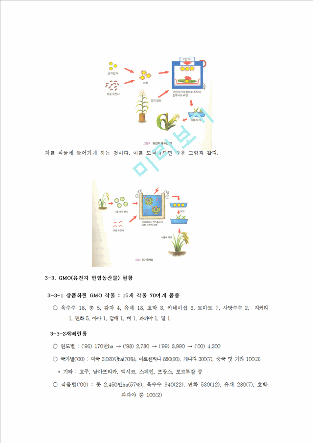 유전자 변형 농산물_3232374.hwp