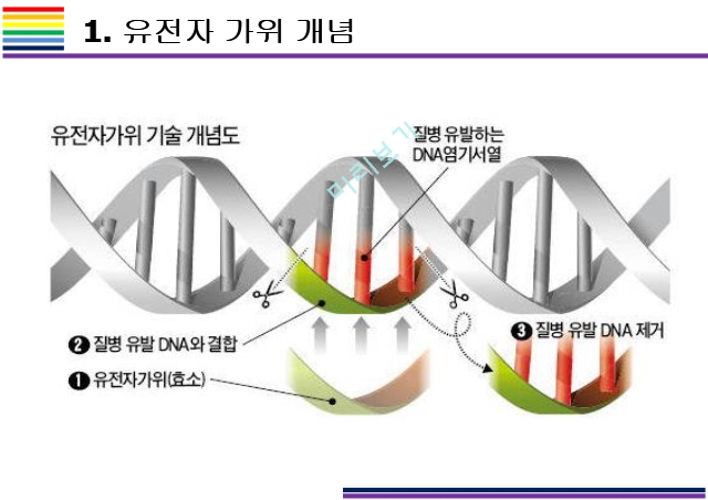 유전자가위.pptx