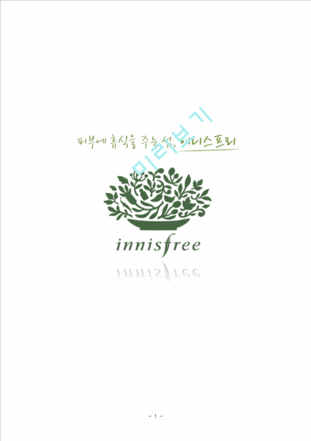 이니스프리(innisfree)의 상황분석,내부역량과 상황분석,세분화된 고객파악 및 마케팅전략.hwp