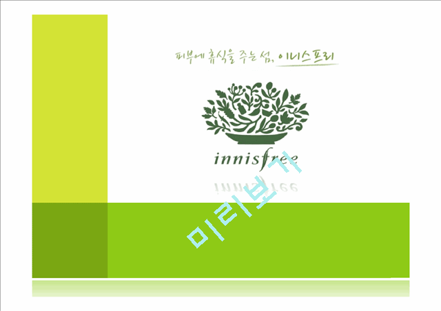 이니스프리(innisfree)의 상황분석,내부역량과 상황분석,세분화된 고객파악 및 마케팅전략.pptx