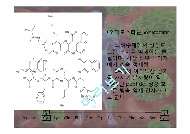 인간 성장 호르몬.pptx