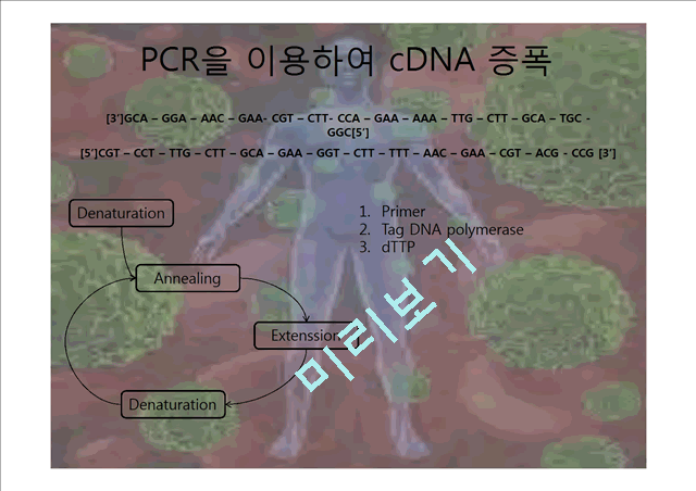 인간 성장 호르몬.pptx