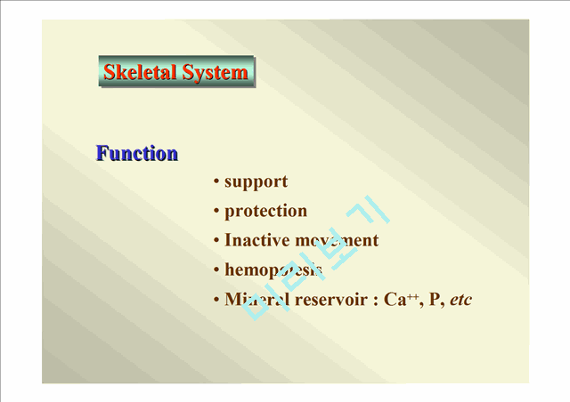 인체골격.ppt