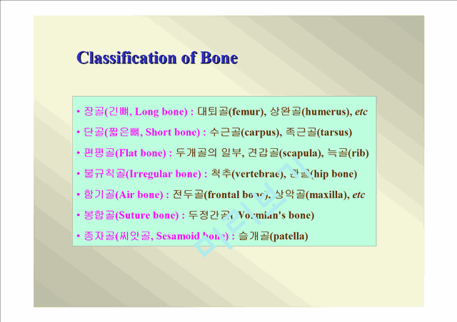 인체골격.ppt