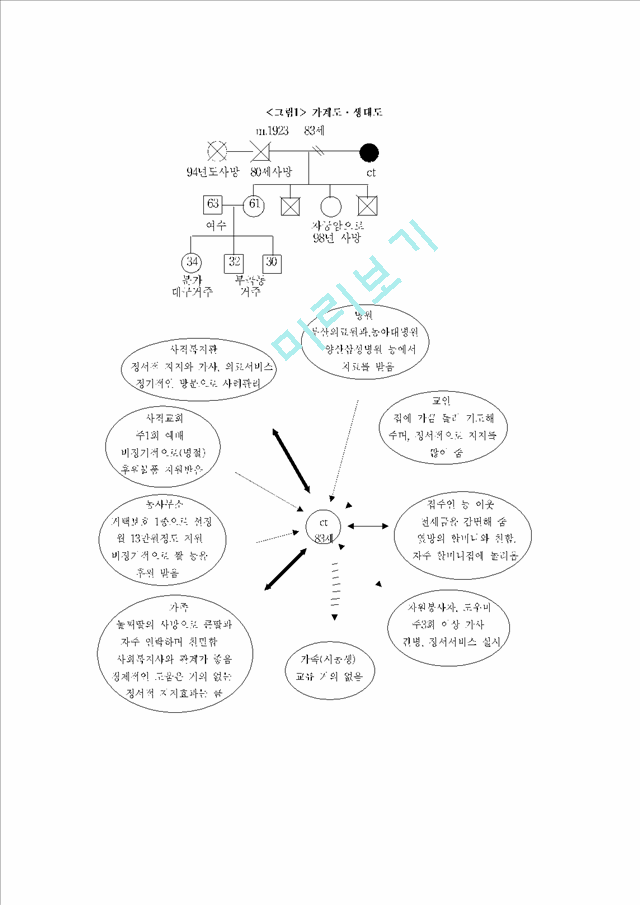 재가노인_사례관리_실천사례.hwp