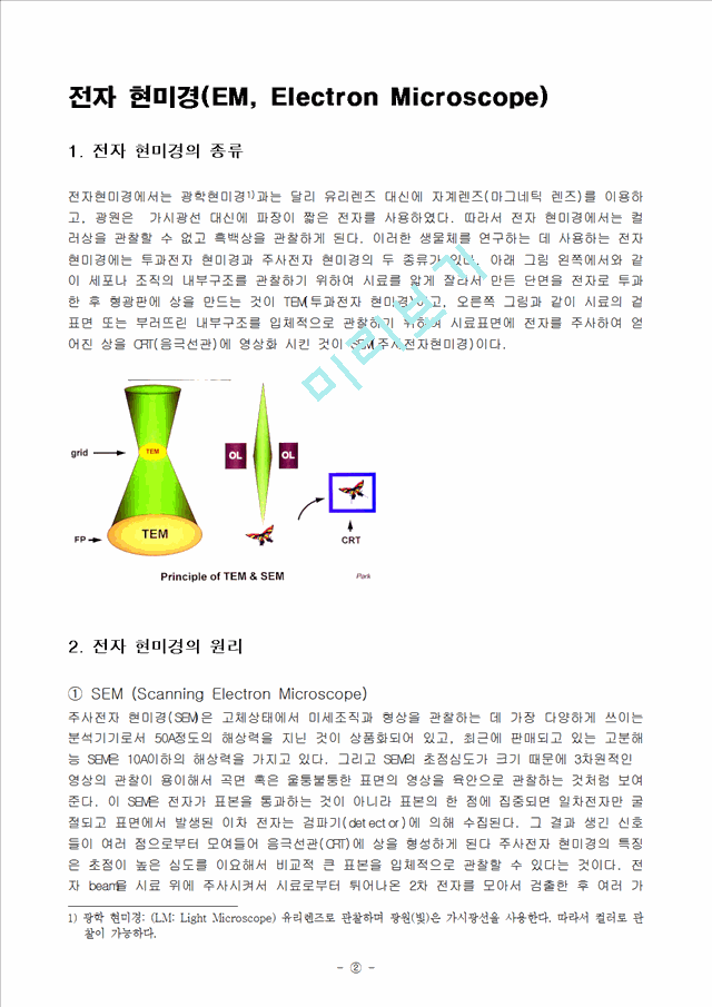 전자 현미경의 원리 응용 종류에 관한 Report 등록 Dg - 그림과 같이 시료의 겉 표면 ... - Academy Study -  Academy Solution