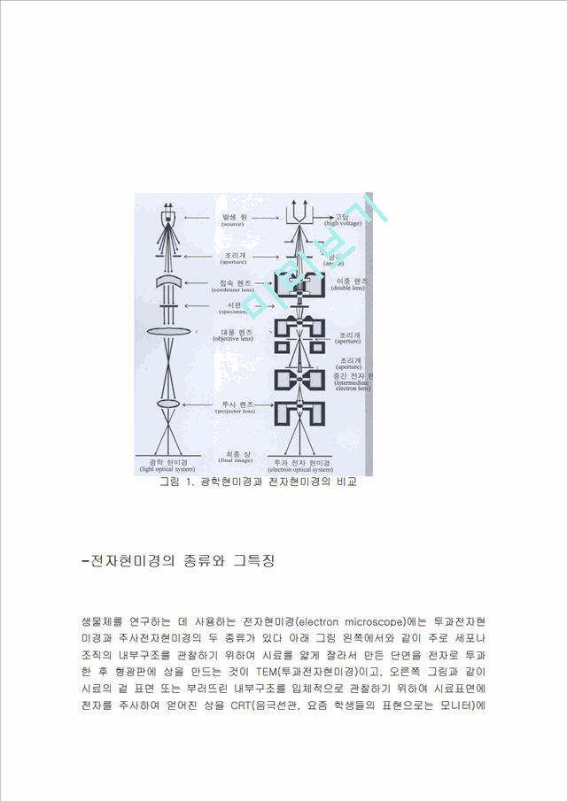 전자현미경과 광학현미경.hwp