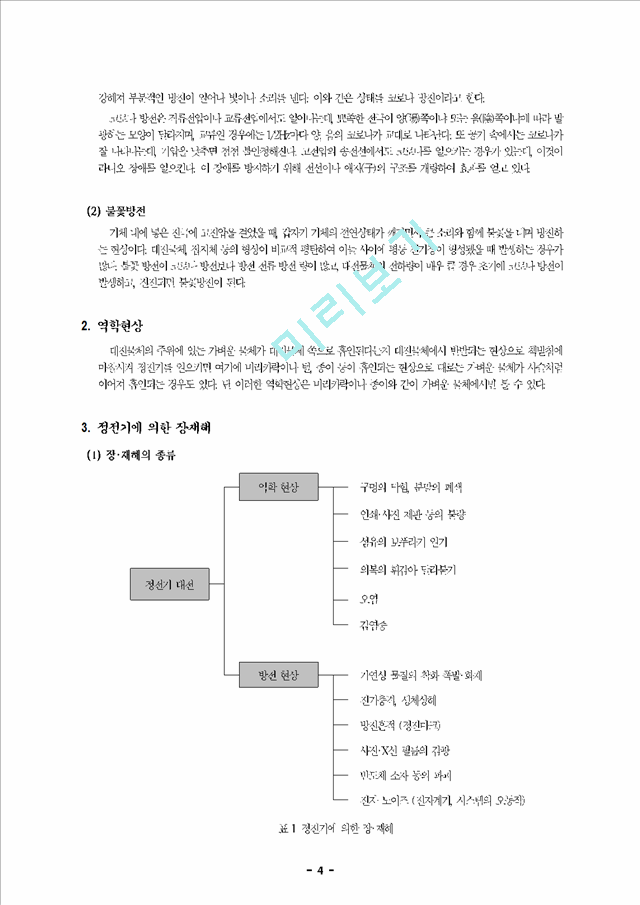 정전기와 이오나이저(ionizer)의 원리.hwp