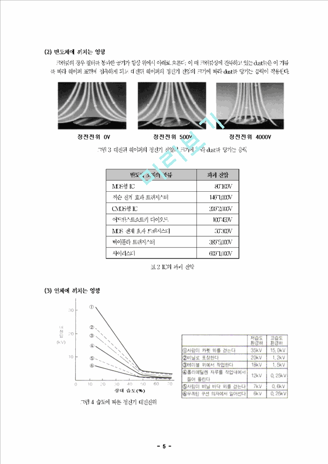 정전기와 이오나이저(ionizer)의 원리.hwp