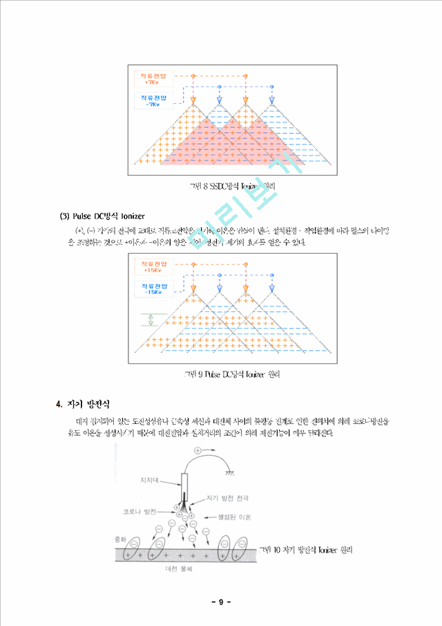 정전기와 이오나이저(ionizer)의 원리.hwp