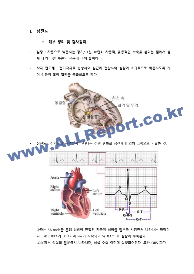 주제발표 심전도.docx