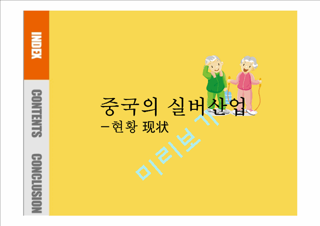 중국의 실버산업.pptx